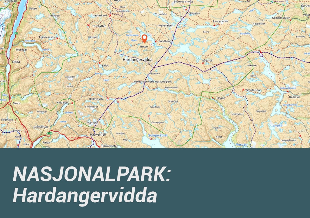 Hardangervidda nasjonalpark